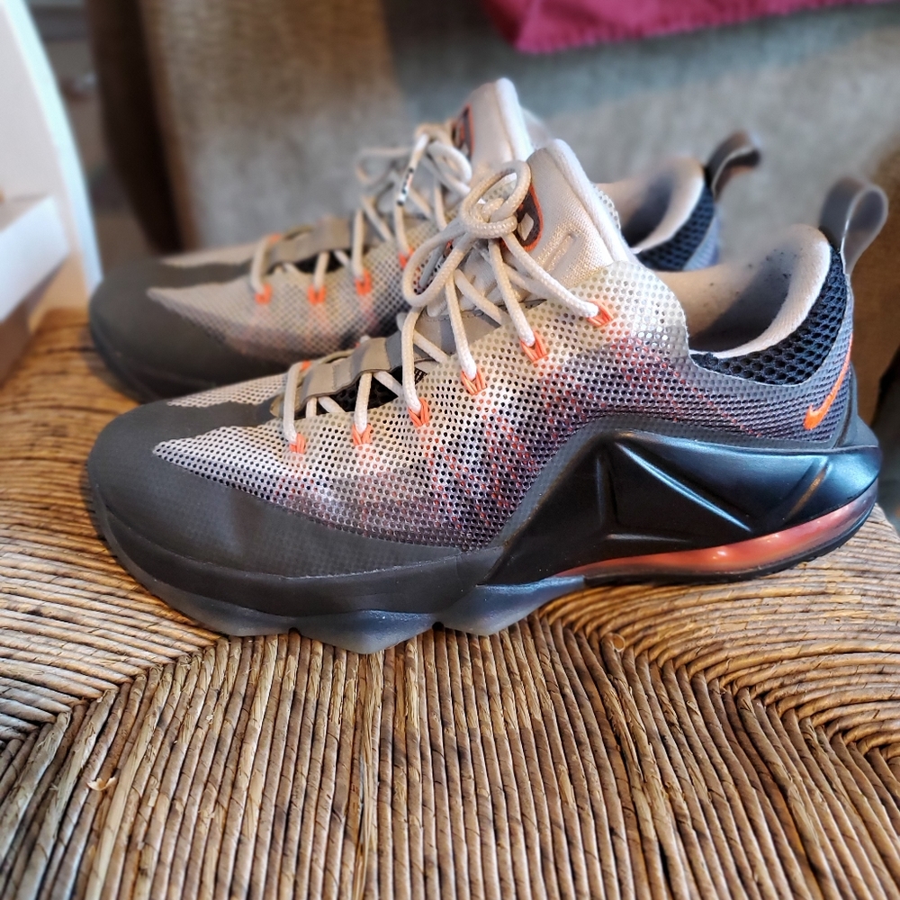 NIKE Lebron 95s